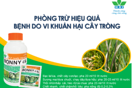 THUỐC TRỪ BỆNH BONNY 4SL - CÒN CHI VI KHUẨN