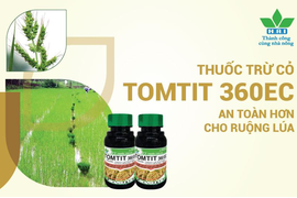 TOMTIT 360EC - THUỐC TRỪ CỎ TIỀN MỌC MẦM - AN TOÀN HƠN CHO RUỘNG LÚA