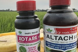 HẾT LO SÂU HẠI LÚA CÙNG BỘ ĐÔI XOTARE 10SC - ALTACH 5EC