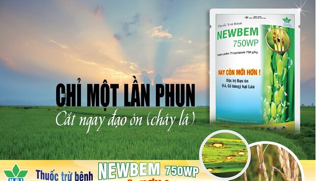 GIẢI PHÁP THUỐC TRỪ BỆNH NEWBEM 750WP