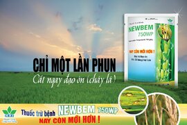 GIẢI PHÁP THUỐC TRỪ BỆNH NEWBEM 750WP
