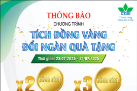 TÍCH ĐỒNG VÀNG – ĐỔI NGÀN QUÀ TẶNG