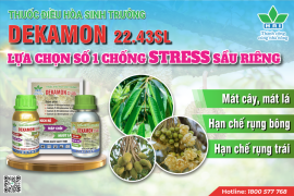 DEKAMON 22.43SL - LỰA CHỌN SỐ 1 CHỐNG STRESS CHO CÂY SẦU RIÊNG