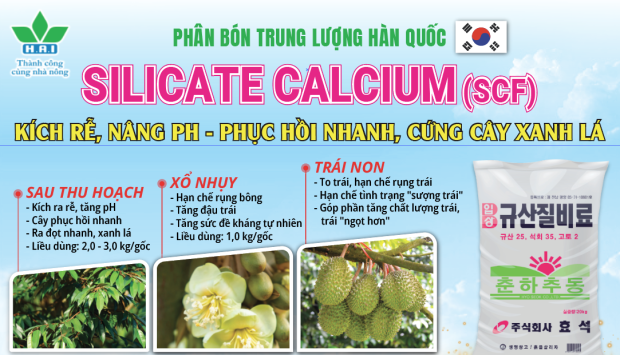 PHÂN BÓN TRUNG LƯỢNG HAI - SILICATE CALCIUM (SCF)