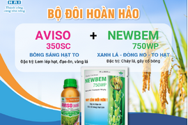 BỘ ĐÔI NĂNG SUẤT AVISO 350SC & NEWBEM 750WP