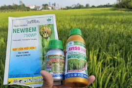 Cuối tuần Bà con ra đồng không ạ!