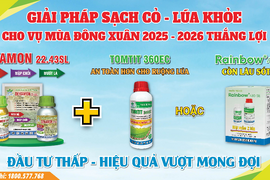 GIẢI PHÁP SẠCH CỎ - LÚA KHỎE CHO VỤ MÙA ĐÔNG XUÂN 2025 - 2026 THÀNH CÔNG