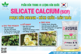 PHÂN BÓN TRUNG LƯỢNG HAI - SILICATE CALCIUM (SCF)