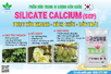 PHÂN BÓN TRUNG LƯỢNG HAI - SILICATE CALCIUM (SCF)
