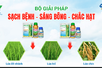 GIẢI PHÁP SẠCH BỆNH - SÁNG BÔNG - CHẮC HẠT CHO LÚA ĐÔNG XUÂN BỘI THU