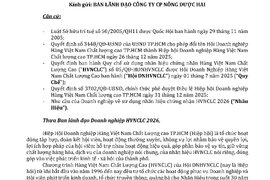 HAI – KHẲNG ĐỊNH VỊ THẾ CÙNG HÀNG VIỆT NAM CHẤT LƯỢNG CAO 2026