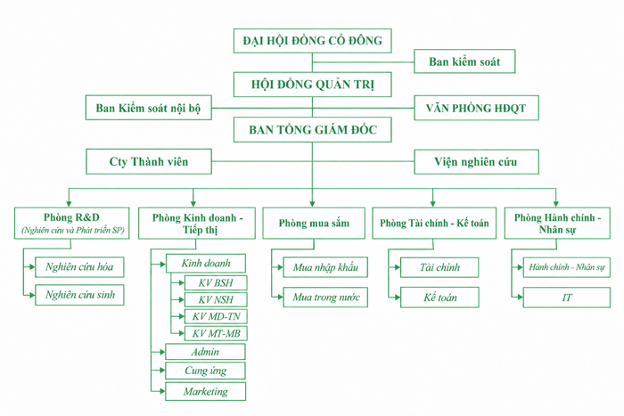 Green Vietnamese Corporate Organization Chart.png